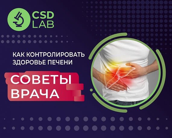 Советы врача: как контролировать здоровье печени