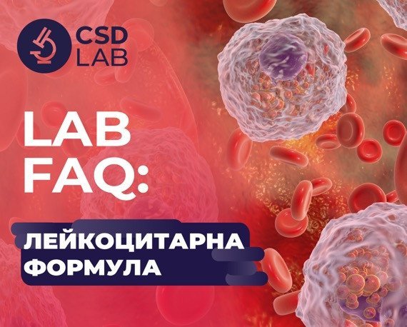 LAB FAQ: лейкоцитарна формула